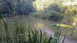 PHOTO-2024-08-28-16-42-45