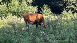 PHOTO-2024-08-28-16-42-46_4