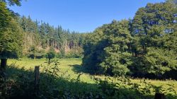 PHOTO-2024-08-28-16-42-46_5