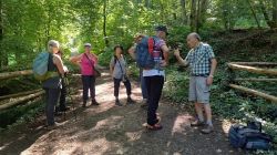 PHOTO-2024-08-28-16-42-46_6