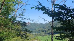 PHOTO-2024-08-28-16-42-46_7