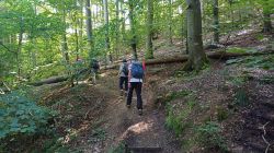 PHOTO-2024-08-28-16-42-46_9