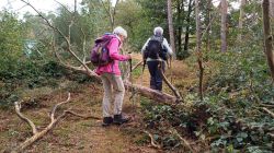 PHOTO-2024-09-25-17-51-08