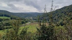 PHOTO-2024-09-25-17-51-10