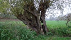 PHOTO-2024-11-13-19-01-54