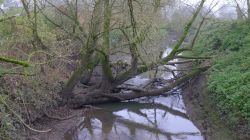 PHOTO-2024-11-13-19-01-55