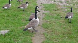 PHOTO-2024-11-13-19-02-06