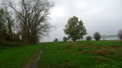 PHOTO-2024-11-13-19-02-06_4