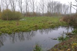 PHOTO-2024-11-13-19-02-07