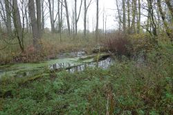 PHOTO-2024-11-13-19-02-07_2