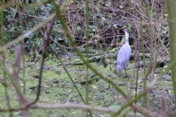 PHOTO-2024-11-13-19-02-07_3