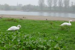 PHOTO-2024-11-13-19-02-07_5