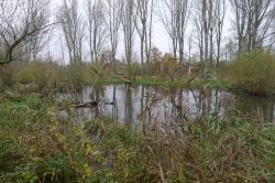 PHOTO-2024-11-13-19-02-07_7