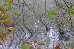 PHOTO-2024-11-13-19-02-08_2