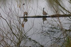 PHOTO-2024-11-13-19-02-08_3