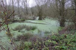 PHOTO-2024-11-13-19-02-08_4