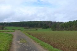 PHOTO-2024-11-27-16-48-21