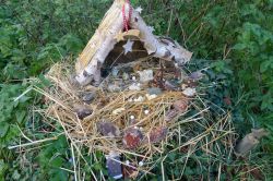 PHOTO-2024-11-27-16-48-32_5