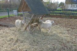 PHOTO-2024-11-27-16-48-32_8