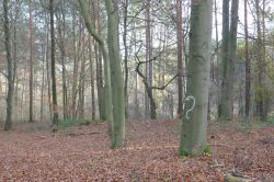 PHOTO-2024-11-27-16-48-32_9