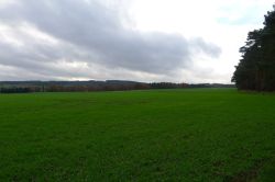 PHOTO-2024-11-27-16-48-33_3