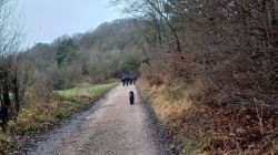 WhatsApp_Image_2024-12-13_at_10.33.47