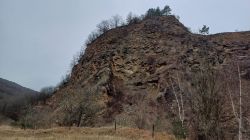 WhatsApp_Image_2024-12-13_at_10.33.49_1