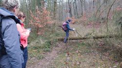 WhatsApp_Image_2024-12-13_at_10.33.50