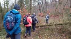 WhatsApp_Image_2024-12-13_at_10.33.50_1