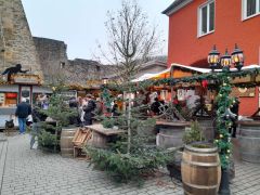 WhatsApp_Image_2024-12-13_at_10.33.57_1