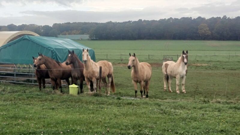 WhatsApp_Image_2025-10-22_at_16.54.30