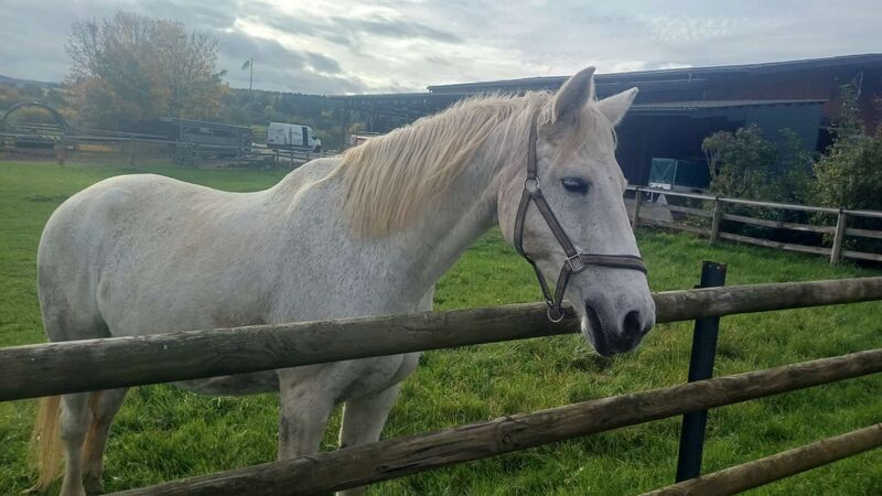 WhatsApp_Image_2025-10-22_at_16.54.30_1