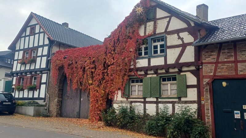 WhatsApp_Image_2025-10-22_at_16.54.31_3