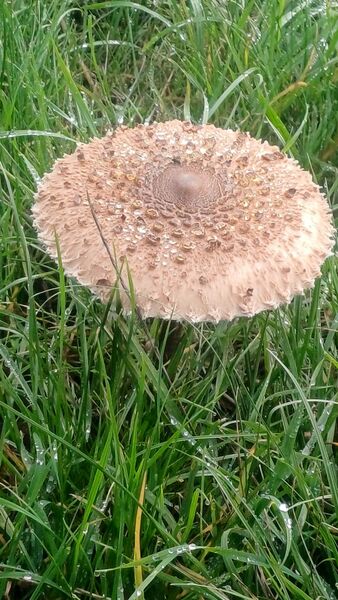 WhatsApp_Image_2025-10-22_at_16.54.32_1