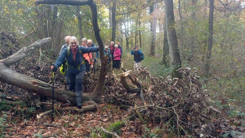 WhatsApp_Image_2025-10-22_at_16.54.32_3