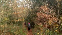 Hostel_2025-11-20_at_10.20.30