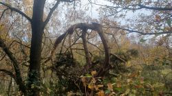 Hostel_2025-11-20_at_10.20.31