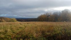 Hostel_2025-11-20_at_10.20.31_1