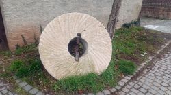 Hostel_2025-11-20_at_10.20.31_5