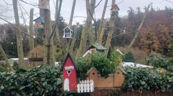 Hostel_2025-11-20_at_10.20.32_1