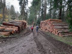 Hostel_2025-11-20_at_10.20.32_5