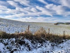 Zingsheim_2025-11-23_at_17.15.55_5