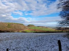 Zingsheim_2025-11-23_at_17.15.55_6