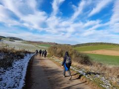 Zingsheim_2025-11-23_at_17.15.55_7