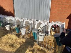 Zingsheim_2025-11-23_at_17.15.56