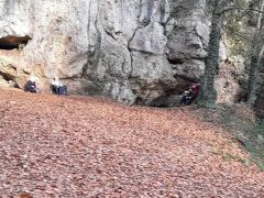 Zingsheim_2025-11-23_at_17.15.56_2