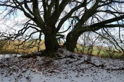 Zingsheim_2025-11-23_at_17.15.57