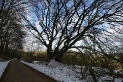 Zingsheim_2025-11-23_at_17.15.58