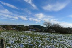 Zingsheim_2025-11-23_at_17.15.58_1