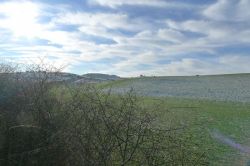 Zingsheim_2025-11-23_at_17.15.58_3